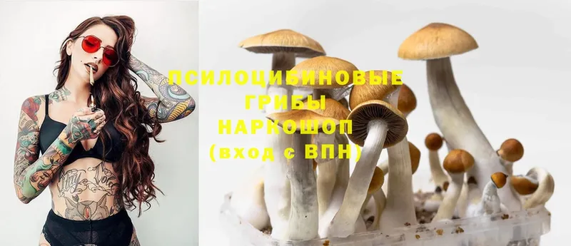 Псилоцибиновые грибы Magic Shrooms  hydra онион  Лангепас 