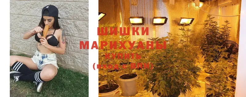 как найти   Лангепас  МАРИХУАНА White Widow 